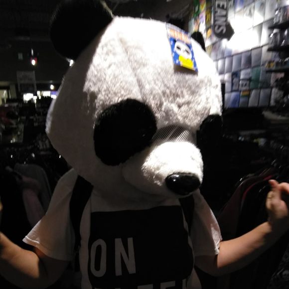 Meet your Posher, Tabitha - Picture 1 of 1